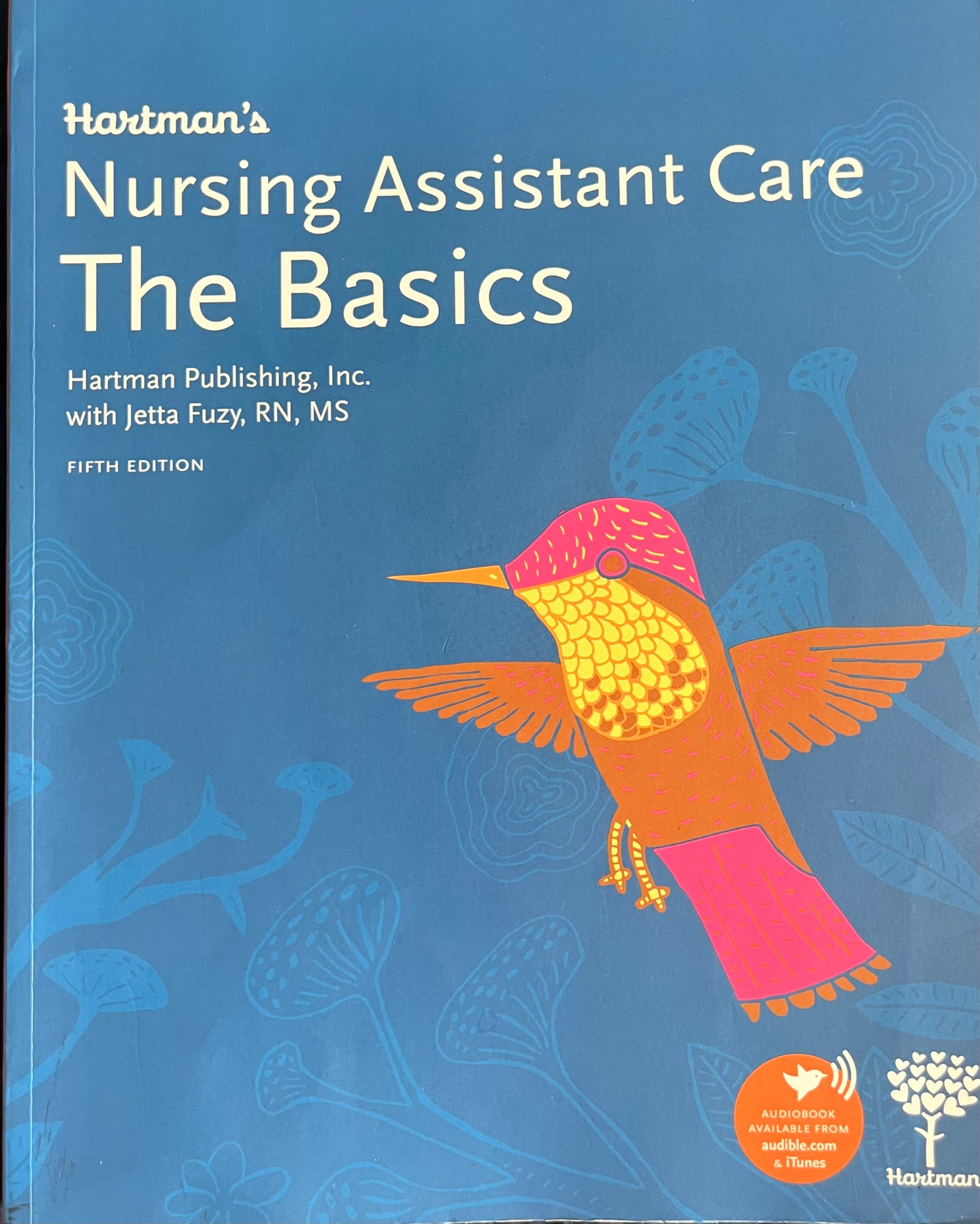 Used Nursing Assistant Care: The Basics